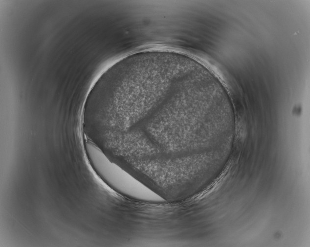 X0000098181247200805151133