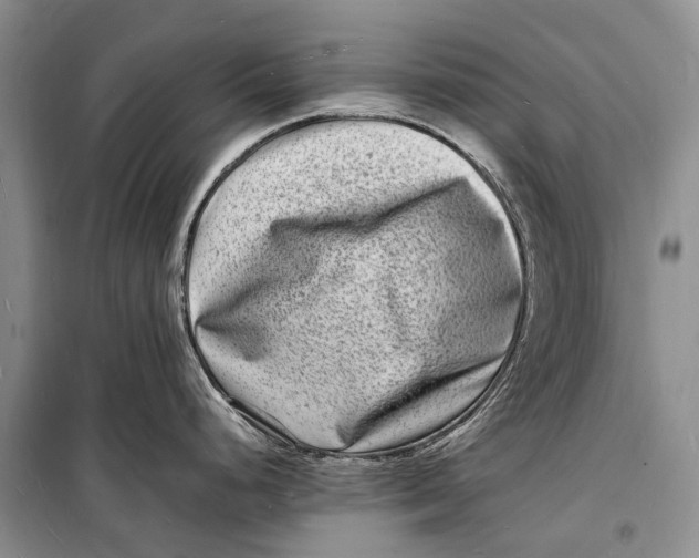 X0000098181248200805151133