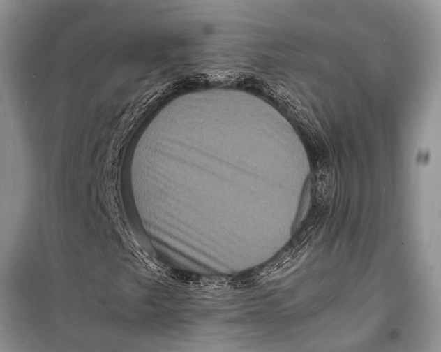 X0000098181249200805151132