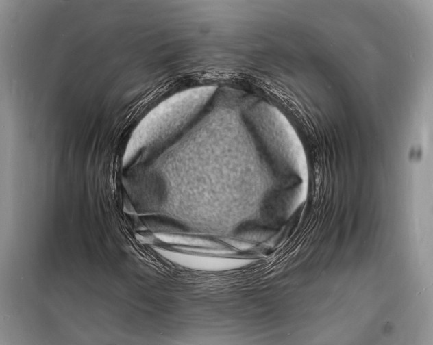 X0000098181250200805151132