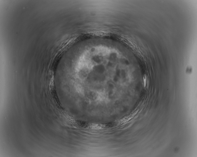 X0000098181251200805151132