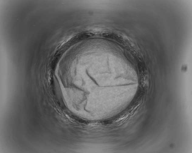 X0000098181253200805151132