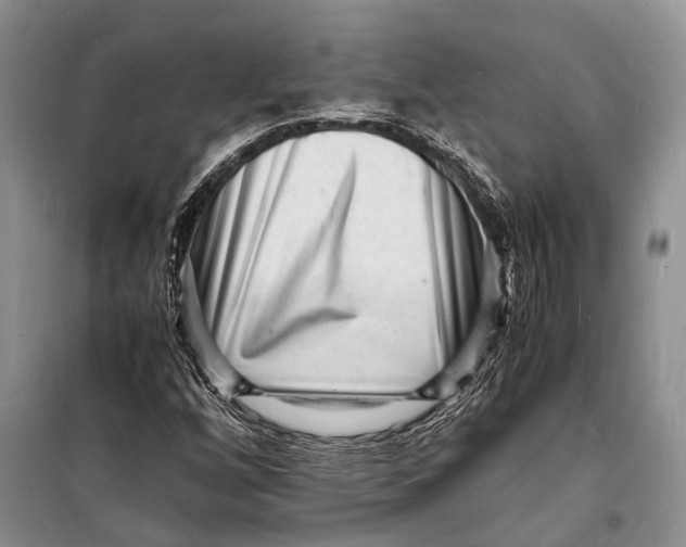 X0000098181256200805151132