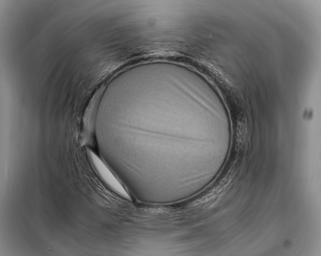 X0000098181257200805151132