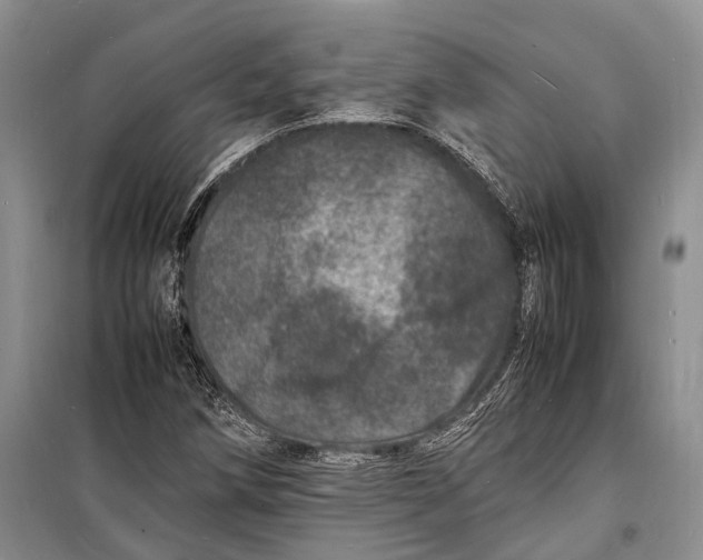 X0000098181258200805151132