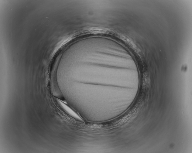 X0000098181261200805151132