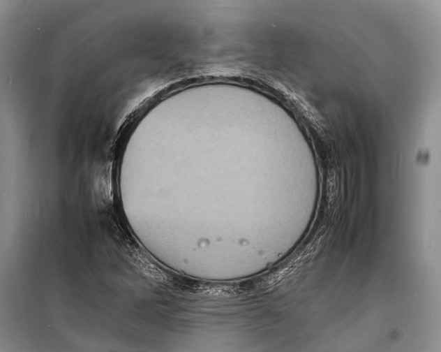 X0000098181262200805151132