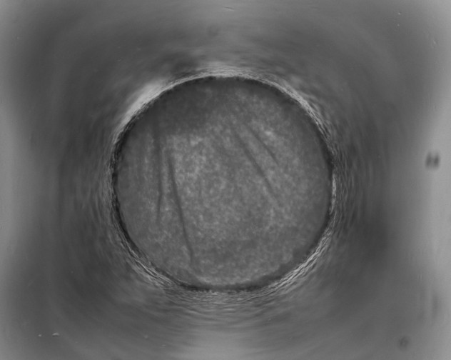 X0000098181263200805151132