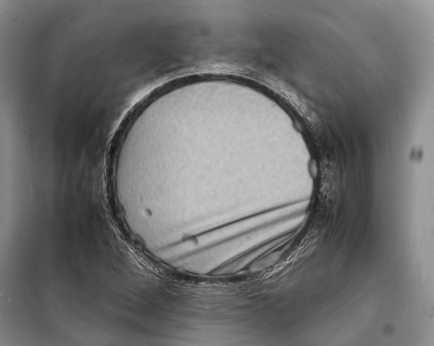 X0000098181264200805151132