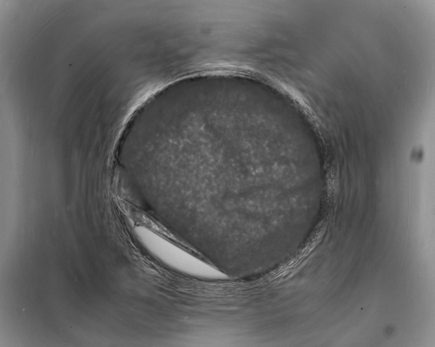 X0000098181267200805151132