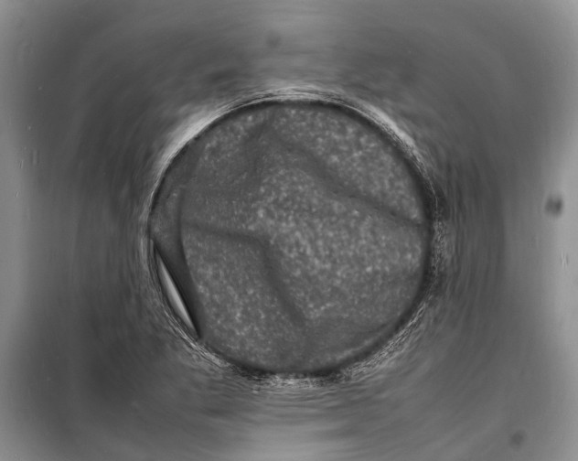 X0000098181269200805151132