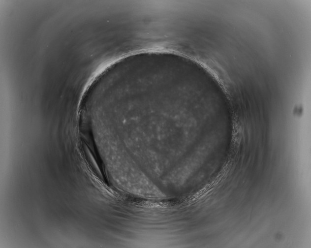 X0000098181270200805151132