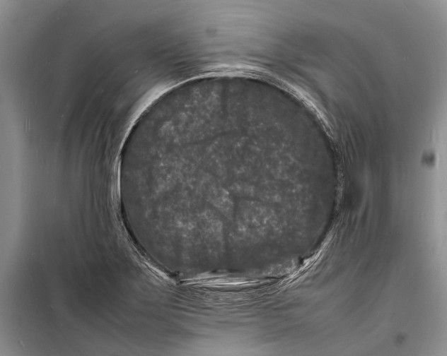 X0000098181275200805151132