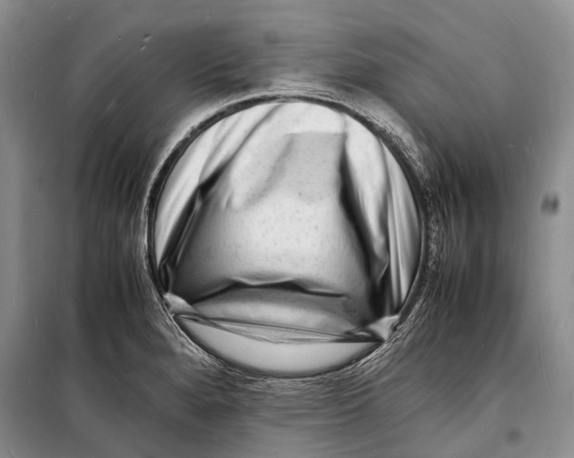 X0000098181280200805151132