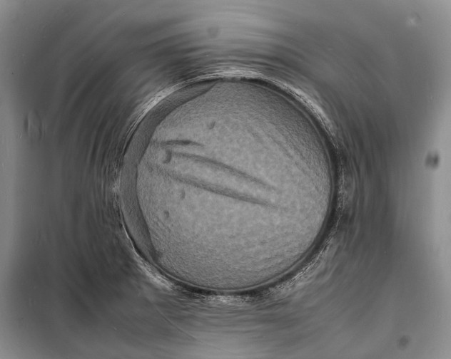 X0000098181281200805151132