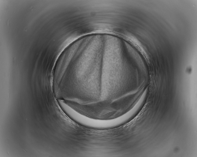 X0000098181284200805151132