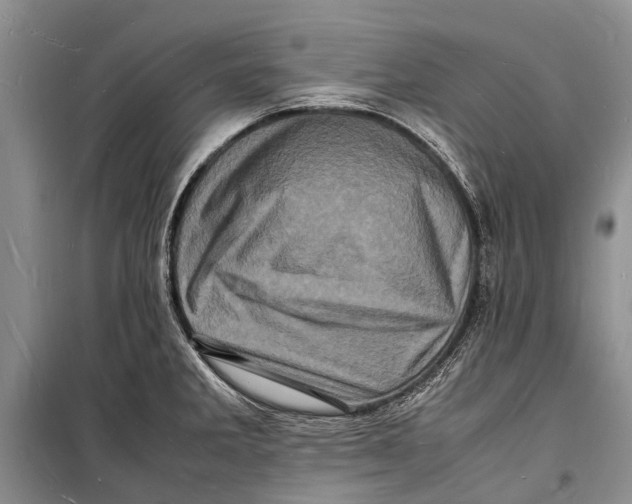 X0000098181285200805151132