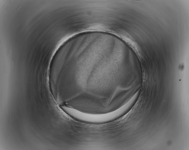 X0000098181288200805151132