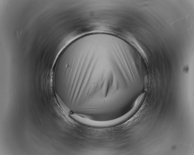 X0000098181292200805151132