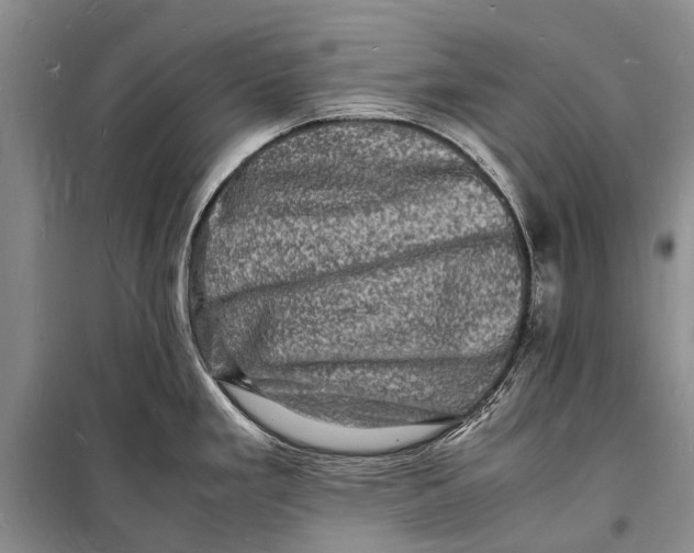 X0000098181293200805151132