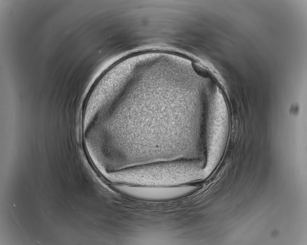 X0000098181295200805151132