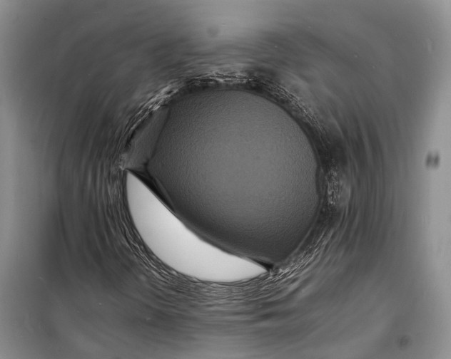 X0000098181298200805151131