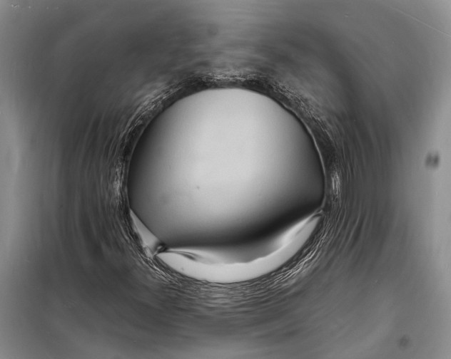 X0000098181300200805151131