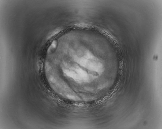 X0000098181302200805151131