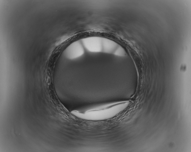 X0000098181303200805151131