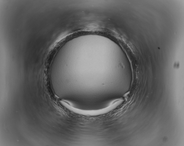 X0000098181304200805151131