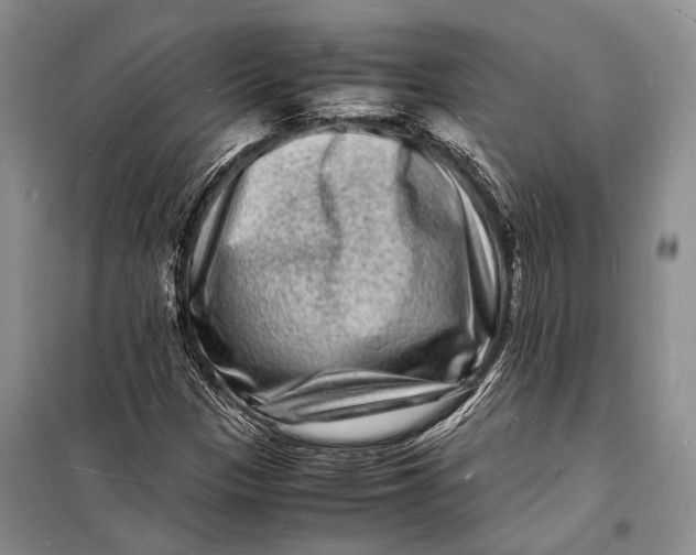 X0000098181305200805151131