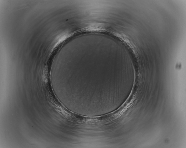 X0000098181306200805151131