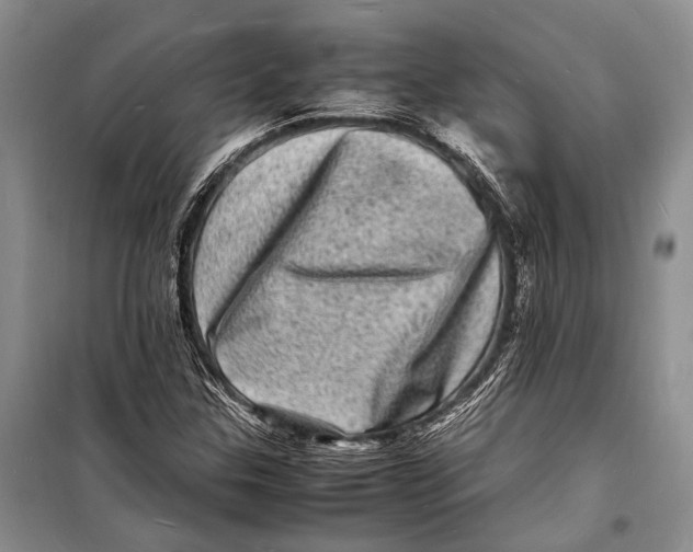 X0000098181307200805151131