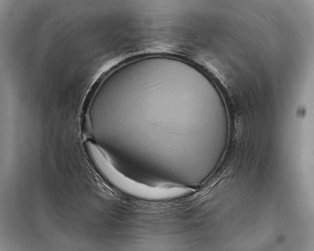 X0000098181308200805151131