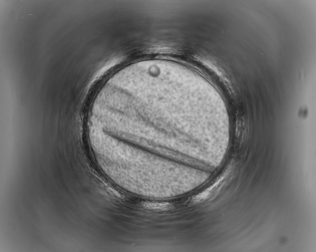 X0000098181309200805151131