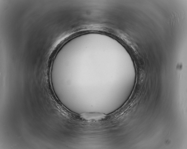 X0000098181312200805151131