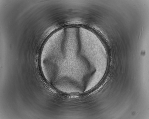 X0000098181313200805151131