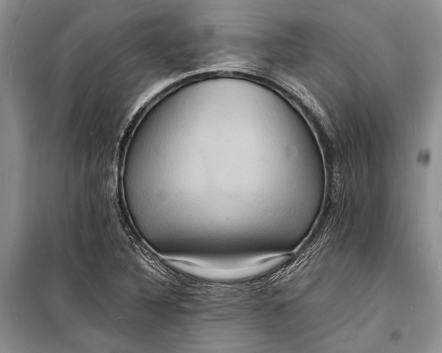 X0000098181316200805151131