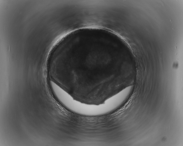 X0000098181319200805151131