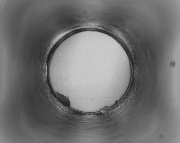 X0000098181320200805151131