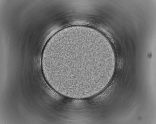 X0000098181322200805151131