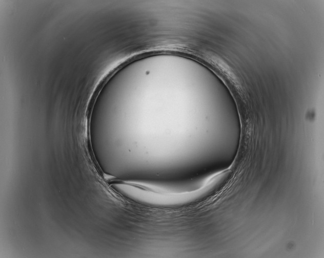 X0000098181324200805151131