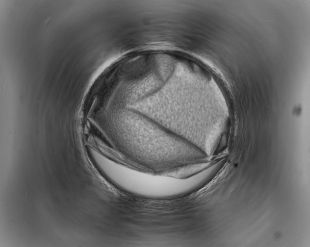 X0000098181325200805151131