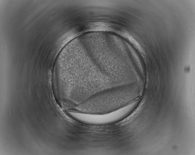 X0000098181329200805151131