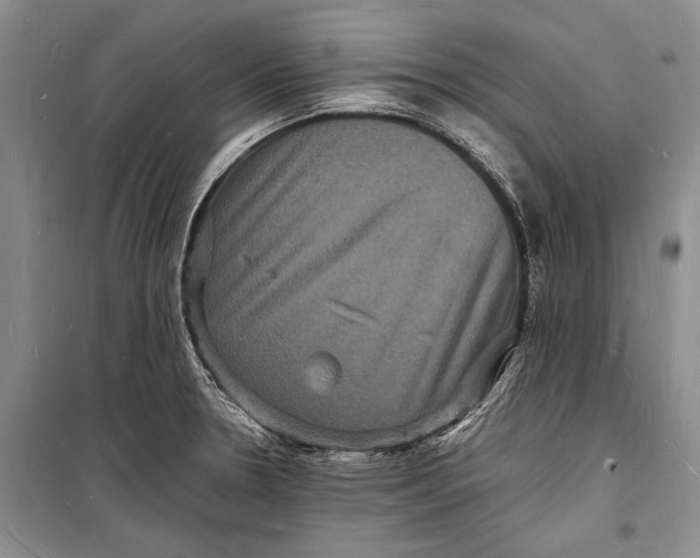 X0000098181330200805151131