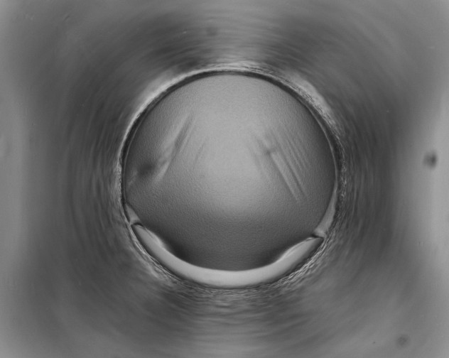 X0000098181332200805151131