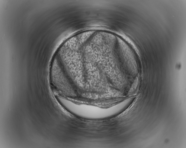 X0000098181333200805151131