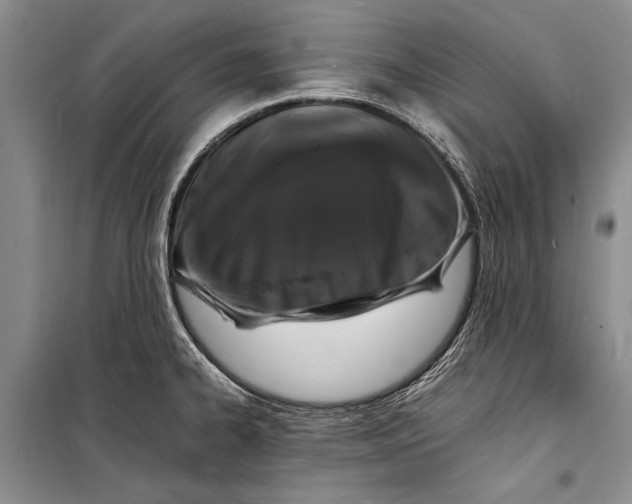 X0000098181334200805151131