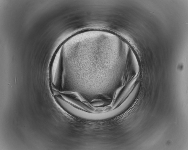 X0000098181335200805151131