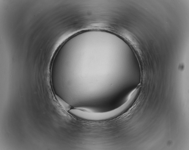 X0000098181336200805151131